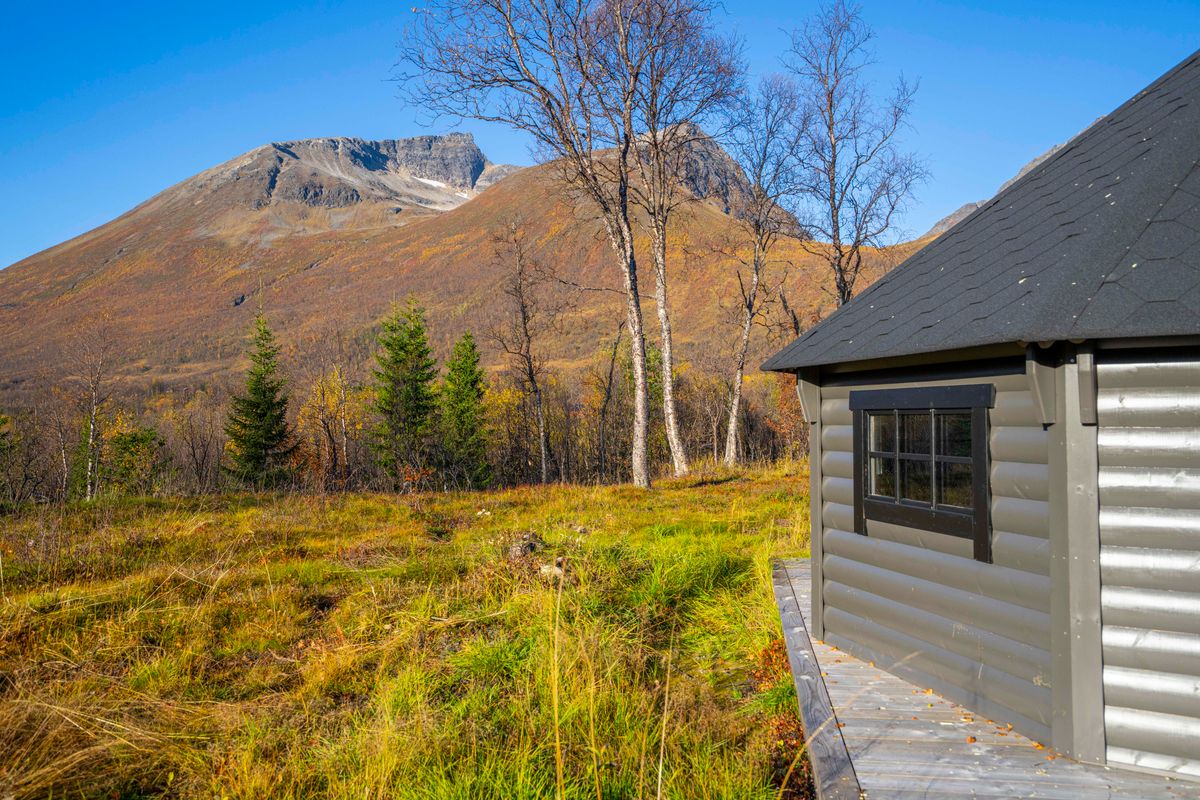 Vindskydd 17 m2 Royal med grill och bänkar - Halvrund timmer